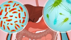 Изображение к статье Информация о необходимости принятия дополнительных мер по профилактике острых кишечных инфекций и холеры
