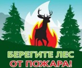 Изображение к новости Уважаемые жители Наукограда Фрязино! Посещая леса, не забывайте о правилах пожарной безопасности!