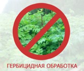 Изображение к статье С 01 мая 2022 по 10 июня 2022 на территории автомобильных дорог в Московской области планируются к производству работы по ликвидации нежелательной растительности путём опрыскивания гербицидами