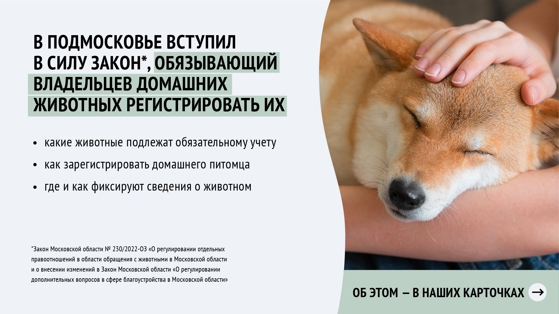 О регистрации домашних животных в Московской области