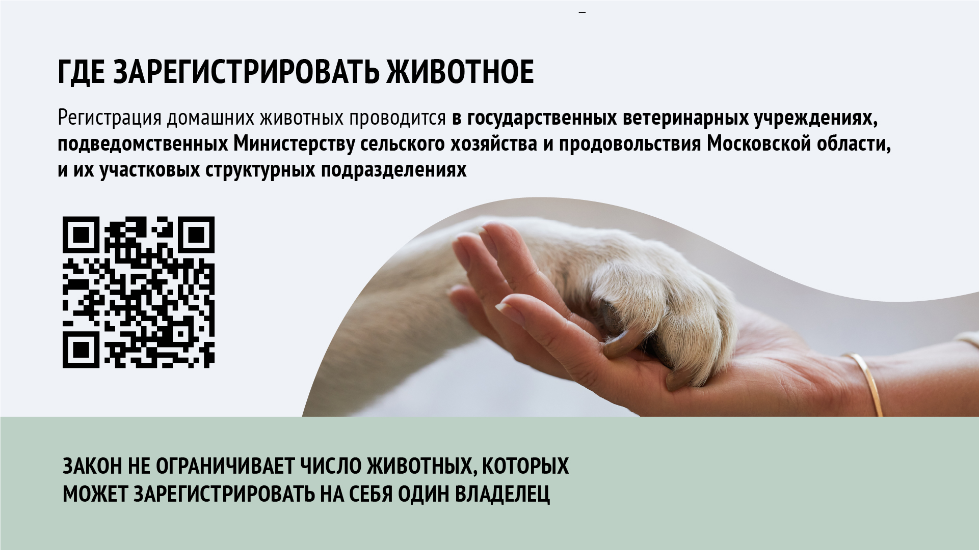 О регистрации домашних животных в Московской области