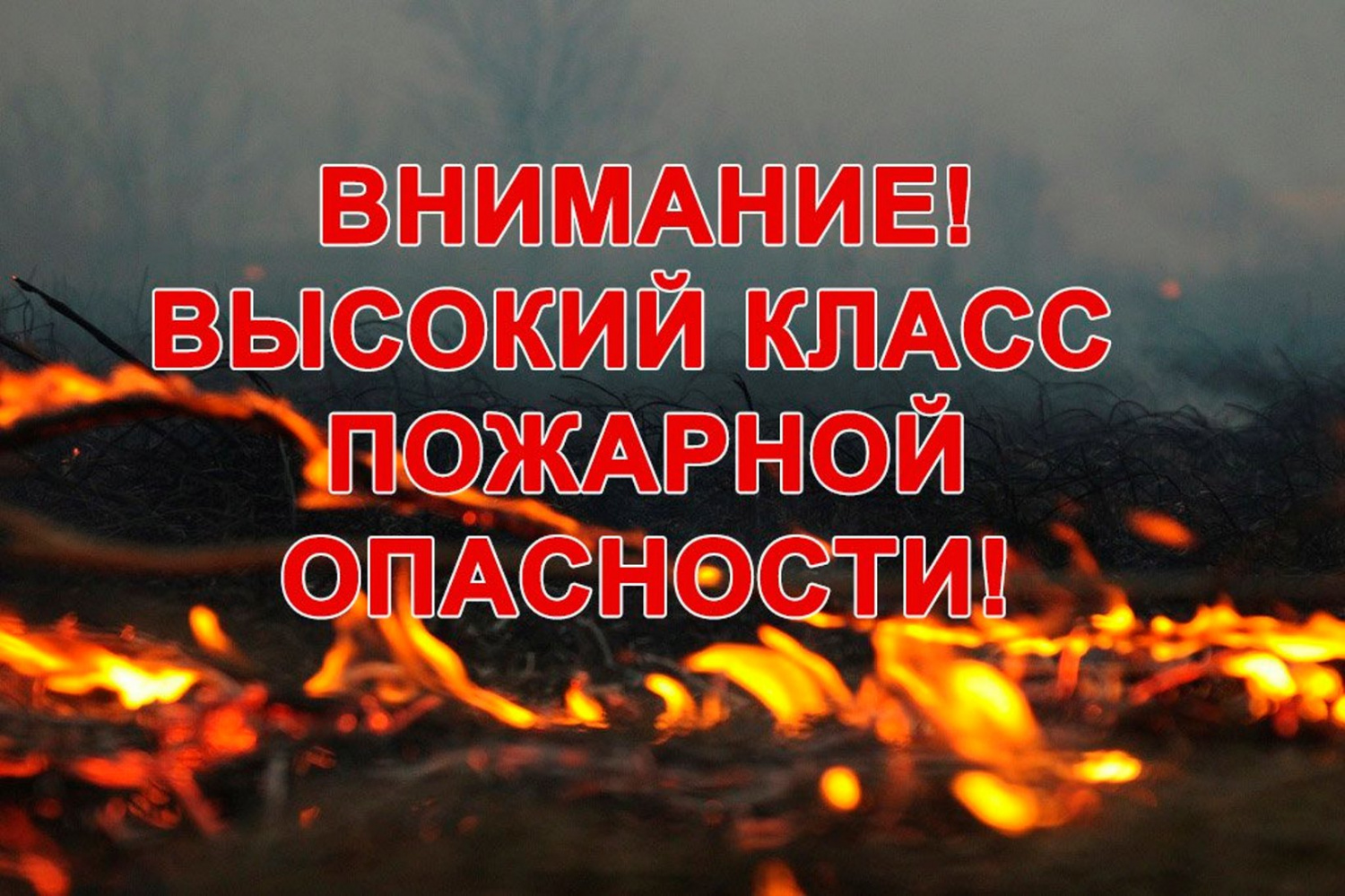 На территории Московской области в среду, 14 июля, прогнозируется высокая пожарная опасность.
