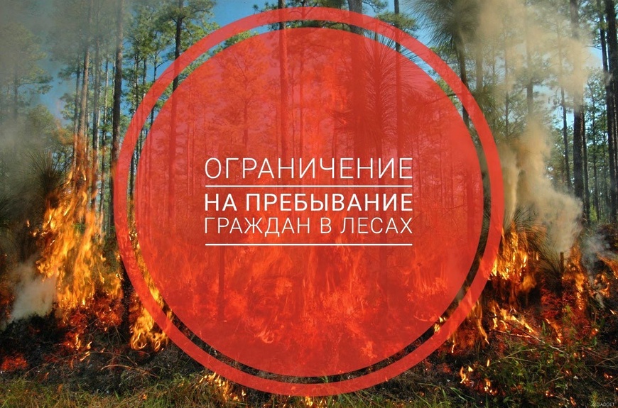 в период с 12 по 19 июля 2021 года на всей территории Московской области введено ограничение пребывания граждан в лесах и въезда в них транспортных средств