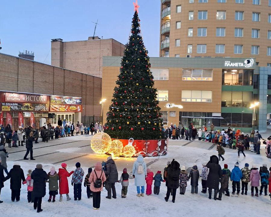 🎄В городском округе Фрязино главная новогодняя ёлка зажгла свои огни