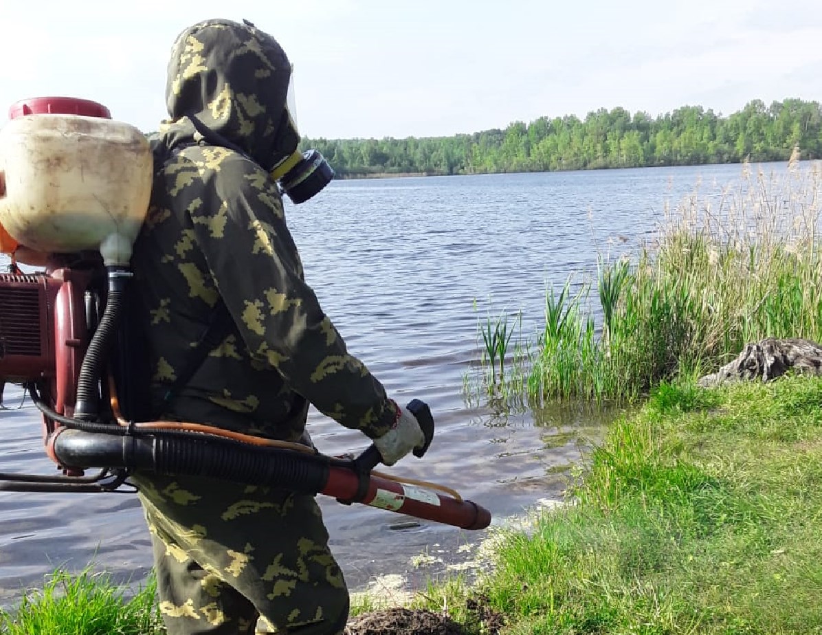 На озере «Большое» будут проведены работы по дезинсекционной (комароистребительной) обработке