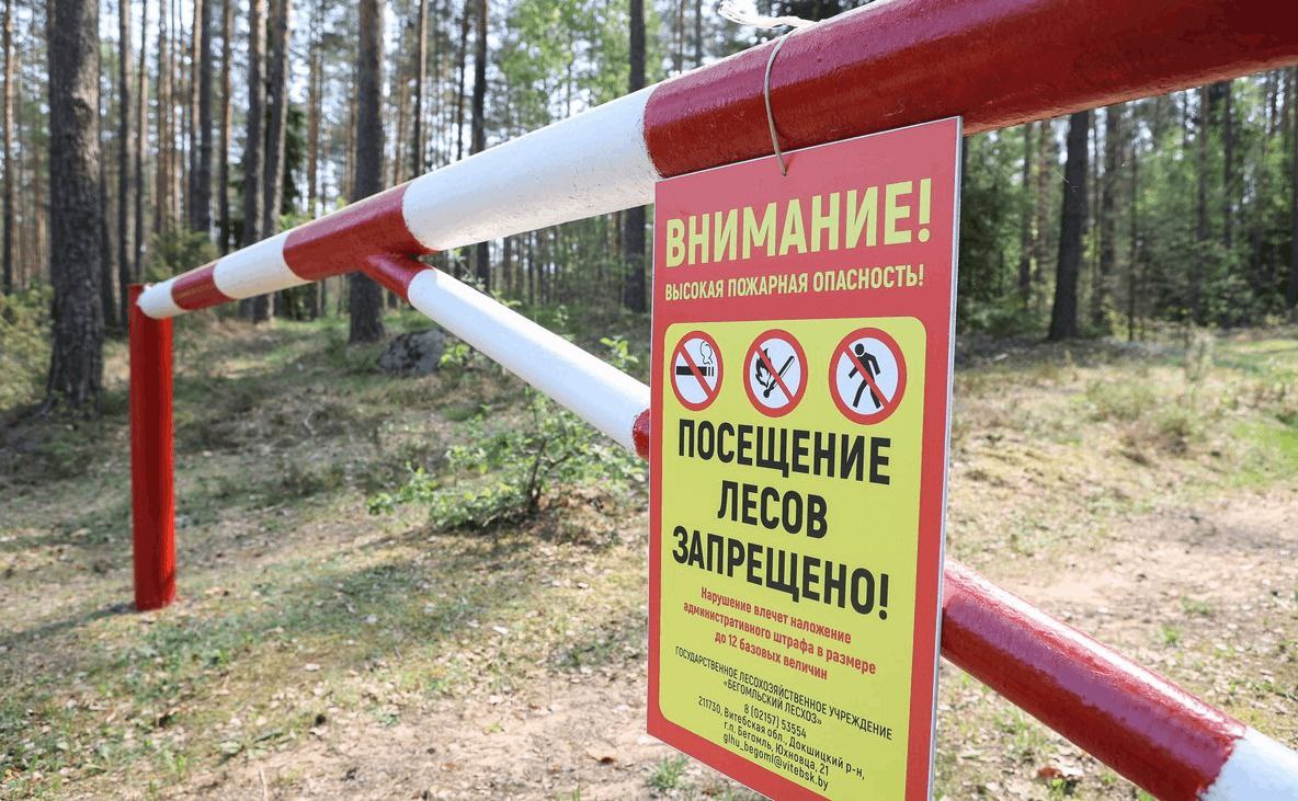 С 16 по 19 июня на территории Московской области вводится ограничение на пребывание граждан в лесах и въезда в них транспортных средств