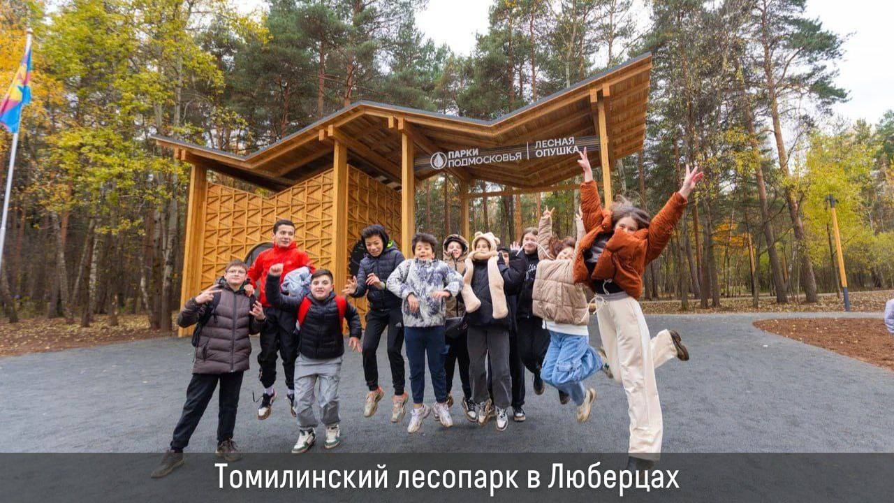 В этом году в Подмосковье запланировано благоустроить 9 лесопарков