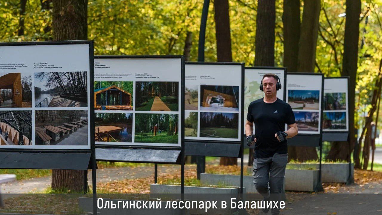 В этом году в Подмосковье запланировано благоустроить 9 лесопарков