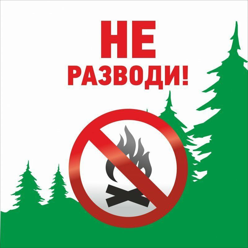 Посещая леса, не забывайте о правилах пожарной безопасности❗️
