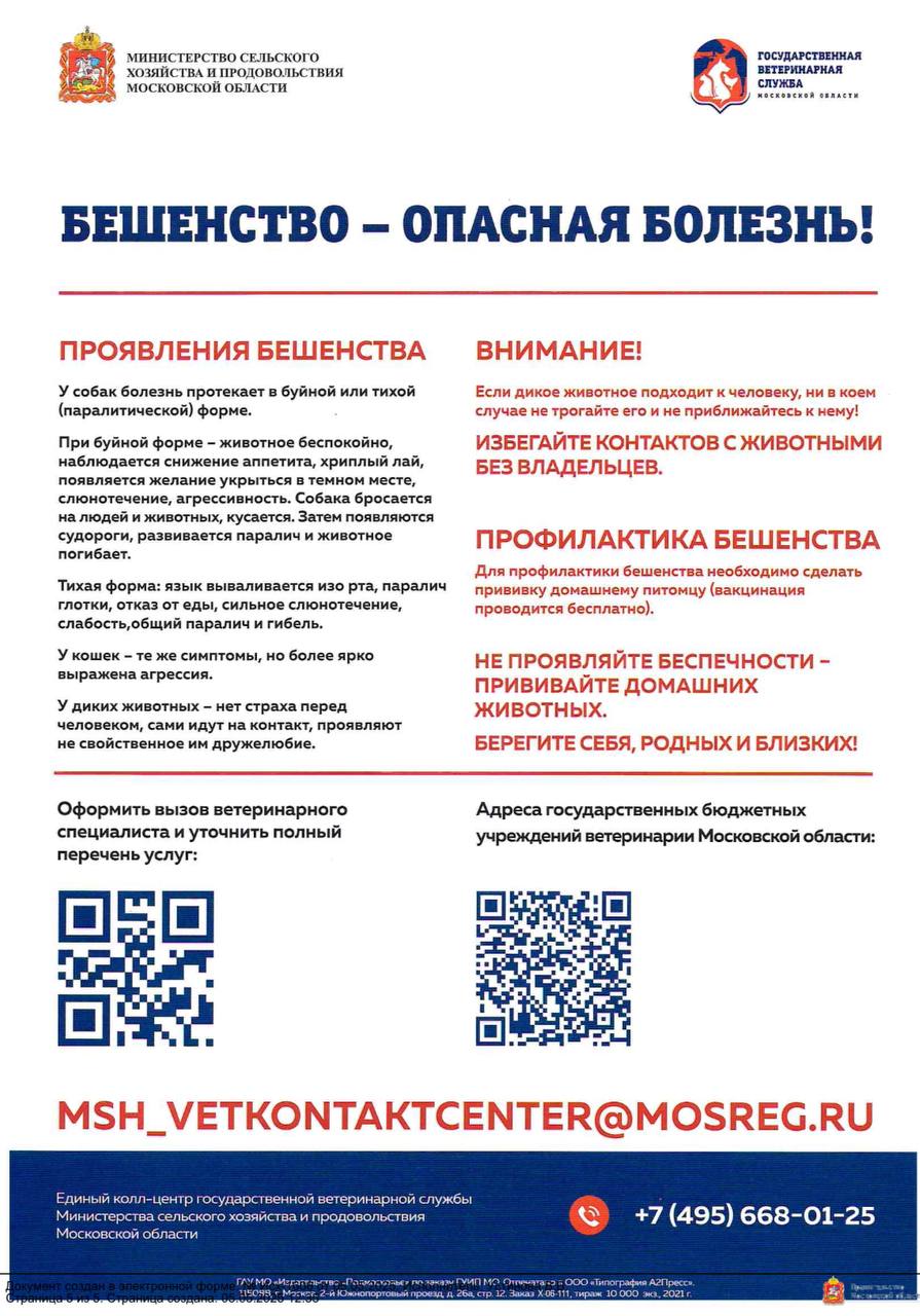 Бешенство и меры профилактики