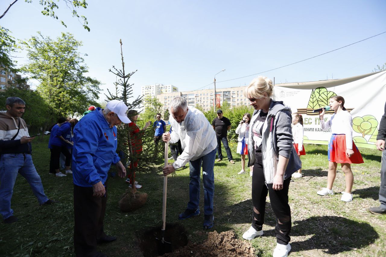 Фрязинцы по всему городу высадили молодые деревья в память о героях военных лет