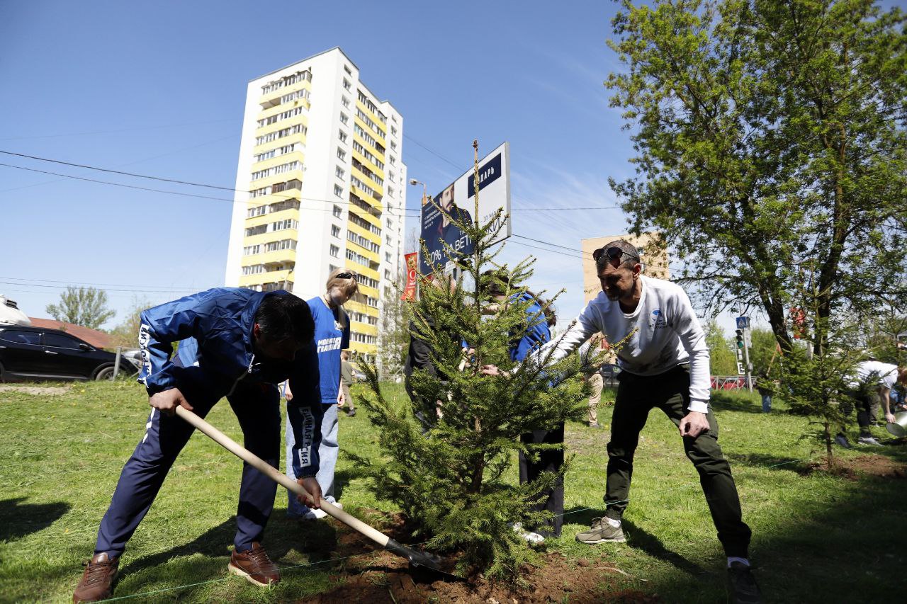 Фрязинцы по всему городу высадили молодые деревья в память о героях военных лет